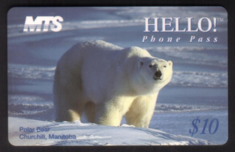 $10. Polar Bear In Snow Near Water - Churchill Manitoba SEALED