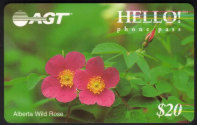 $20. Hello! Alberta Wild Rose (Hot Pink Flowers) Remote Memory SEALED